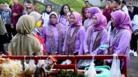 Ibu Iriana Tinjau Penjual Sayuran Pencari Ibu Hamil Berisiko Tinggi