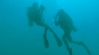Dinas Penyelamatan Bawah Air Koarmada III Laksanakan Latihan K-1 Fotografi Bawah Laut