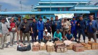 Ditpolairud Polda Kalbar Gagalkan Penyelundupan Telur Penyu Ilegal
