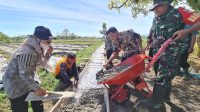 Guna Permudah Mengangkut Hasil Panen, Ini Yang Dilakukan Babinsa Bersama Warga