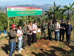 Jaga Lingkungan, Kodim 0610/Sumedang Gelorakan Menanam Pohon