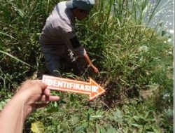 Pihak Kepolisian Gelar Olah TKP di Temukannya Jasad Bayi Tanpa Identitas di Pinggiran Sungai Ciliwung