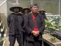 Kadis Pertanian Tasikmalaya: Kenaikan Harga Beras Bukan Karena Gagal Panen