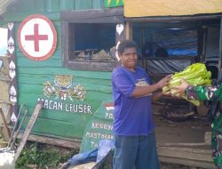 Bantu Mama Papua, Satgas Yonif RK 115/ML Barter Bahan Makanan Dengan Hasil Kebun Masyarakat