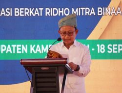 Produksi CPO Nasional Hanya 4 Ton/Ha, Pemerintah Kebut Program PSR Kemitraan