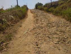 Lebih Dari 10 Tahun Ruas Jalan Kabupaten Cicareuh-Bumisari Rusak Berat, Warga Mengeluh