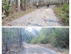 Puluhan Warga Lakukan Bhakti Sosial Perbaiki Jalan Rusak Berat