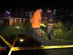 INAFIS Satreskrim Polres Aceh Timur Identifikasi Warga Aceh Utara Yang Ditemukan Meninggal di Kebun Jagung di Pantee Bidari