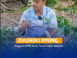 Oyong Beri Peringatan Tegas BKSDA Tak Tutup Mata Terkait Konflik Gajah Liardi Aceh Timur
