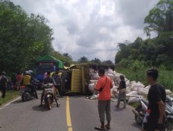 Terjadi Lak Lantas Adu Banteng Mobil Truk Vs Pickup Hingga Tewaskan Sang Sopir, Polisi Olah TKP