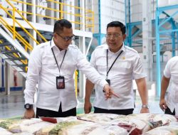 Kepala Bapanas Kunjungi Mesin Rice to Rice BULOG, Pastikan Beras Bantuan Berkualitas Baik