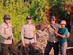 Kapolsek Pulau Maya Laksanakan Giat Ground Check Hotspot Karhutla Hari Ke 3 di Desa Satai Lestari Pulauan Maya