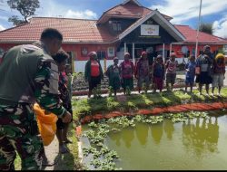 Awalnya Gempar, Sekarang Tak Gentar, Senyum Bahagia Warga Intan Jaya, Melihat Monster Afrika Tumbuh Besar