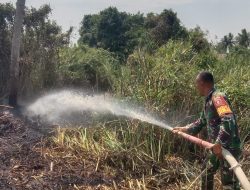 Sigap, Babinsa Kodim 1007 Banjarmasin Bersama BPBD Bantu Padamkan Kebakaran Lahan di Banjarmasin Utara