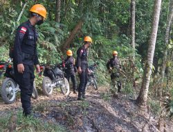 Personil Satbrimob Polda Kalbar Cegah Karhutla,Patroli Masuk Wilayah Hutan Yang Rawan Kebakaran