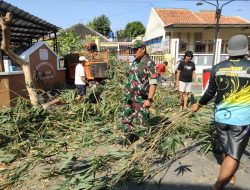 Babinsa Pajang Bersama Warga Bahu-membahu Bersihkan Rumpun Bambu