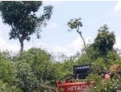 Polisi Tangkap Perambah Hutan di Rohil, 1 Alat Berat Disita