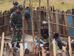 Panggul Papan Kayu Belasan Kilometer, Satgas Yonif 330 Bantu Bangun Honai Warga