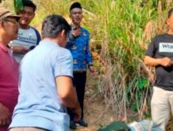 Komitmen Lakukan Pemberantasan, Polda Sumut Tangkap 998 Pelaku Narkoba