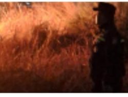 Kebakaran Hanguskan Lahan Kosong di Sukaraja Bogor