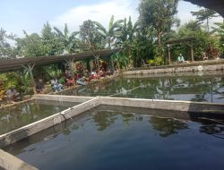 Wajib Dikunjungi, Kolam Pemancingan Asri Yang Memiliki Suasana Alam Pedesaan 