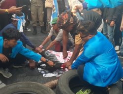 DPD KNPI Kabupaten Bogor Sembelih Leher Bupati Iwan Setiawan Melalui Contoh Seekor Kambing!