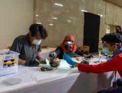 Koleksi Museum Nasional Indonesia Terdampak Kebakaran Berhasil Diindentifikasi 589 Artefak