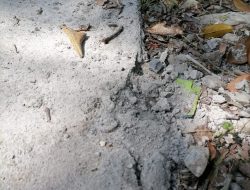 Pembangunan Jalan Rabat Desa Sukaluyu Kecamatan Kalibunder Diduga Tidak Sesuai RAB