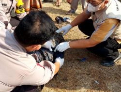 Pihak Kepolisian Polsek Gunung Sindur Olah TKP Penemuan Jasad Pria di Pinggiran Danau Cisawang