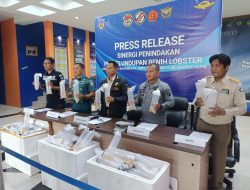 Bakamla RI Gagalkan Penyelundupan Benih Lobster Senilai 19 M ke Malaysia