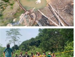 Pihak Kepolisian Selidiki Kasus Penemuan Kerangka Manusia di Jasinga Bogor