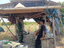 Babinsa Temukan Keluhan Petani Hadapi Kemarau Panjang