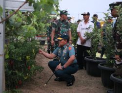 Dandim 0509 Bersama Danrem 051/Wkt Dampingi Panglima TNI Tinjau Lahan Pertanian Terpadu di Wanajaya