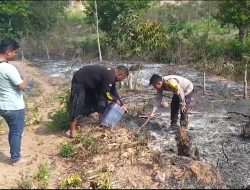 Cegah Karhutla, Polsek Kute Turun Padamkan Api di Lahan Warga