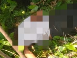 Karyawan Panen PT Ramajaya Tewas Diduga Disengat Listrik