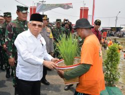 Kuatkan Ketahanan Pangan Nasional, Wapres Minta Optimalisasi Pemanfaatan Lahan Tidur Untuk Pertanian
