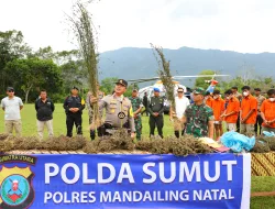 Perburuan 150 Ha Ladang Ganja oleh Polda Sumut Gunakan Teknologi Citra Satelit