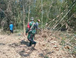 Tumbuhkan Jiwa Gotong Royong, Babinsa Bantu Potong Bambu Warga