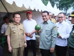 Kementerian Pertanian: Sumsel Akan Cetak Sawah 200 Ribu Hektar
