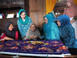 Pj Ketua TP PKK Sumsel Tyas Fatoni Kunjungi Pusat Kerajinan Sulam Benang Emas Ranau di Desa Jepara