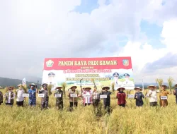 Panen Raya Padi Sawah, Ini Pesan Pj Gubernur Sulawesi Tenggara