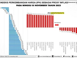 Mendagri Apresiasi Sulawesi Tenggara Berhasil Turunkan Angka Indeks Perubahan Harga (IPH)