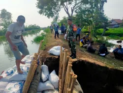 Gerak Cepat Babinsa Atasi Tanggul Jebol