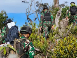Satgas 330 Peringati Hari Pohon Sedunia, Laksanakan Patroli dan Reboisasi Hutan Gundul di Intan Jaya