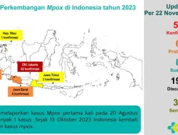Satu Pasien Mpox Meninggal Dunia, Disebabkan Komorbid Berat