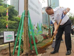 11 Pohon Pule Ditanam di Lingkungan Kantor Walkot Jakbar