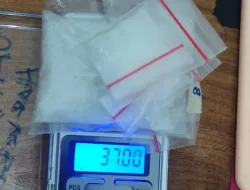 Sering Transaksi Sabu di Warung, Warga Desa Kemang Diringkus Polisi