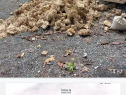 Pekerjaan Talud Pantai Proyek Fiktif Rugikan Pemborong