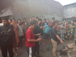 Dua Pelaku Ranmor Diamuk Massa Satu Tewas dan Kritis
