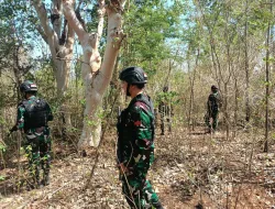 Pos Nino Satgas Pamtas Yonkav 6/Naga Karimata Patroli Perbatasan Ke PBN No 38 Dalam Pastikan Patok Tidak Bergeser